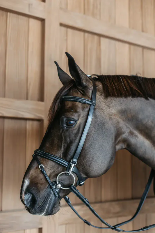 Dy`on Training Bridle - Working By Dy`on