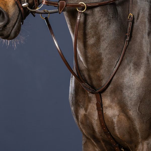 Hovedbilde Dy'on Running Martingale SQ Raised