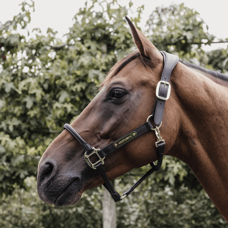 Kentucky Anatomic Leather Halter