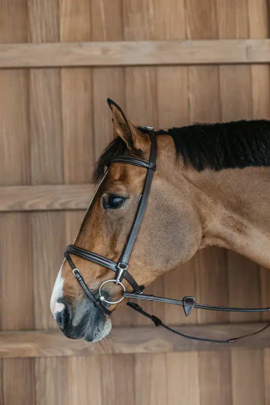 Dy`on Training Bridle - Working By Dy`on
