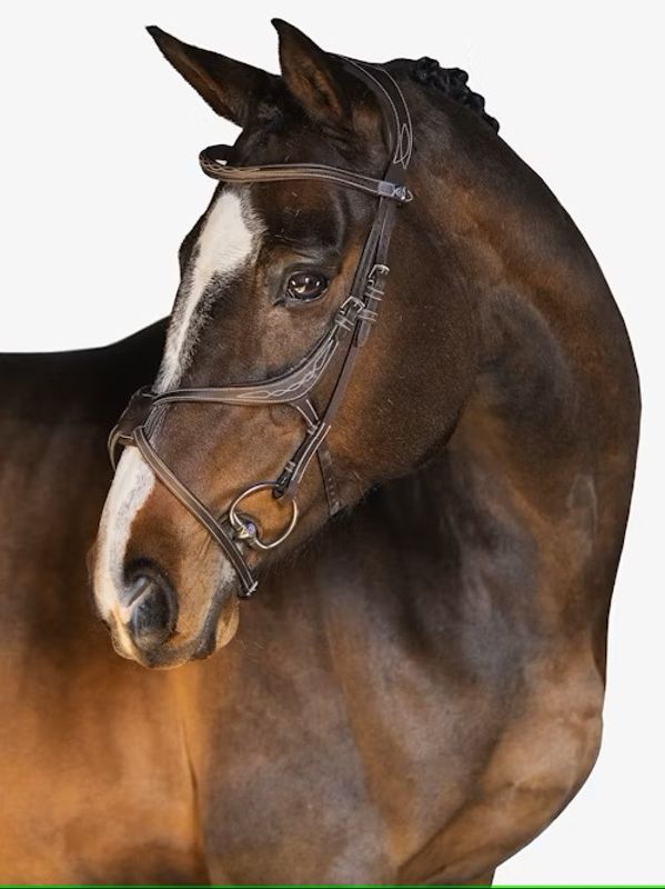 PS of Sweden Bridle Athens