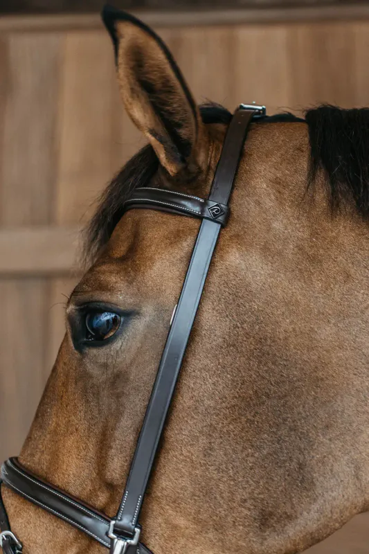 Dy`on Training Bridle - Working By Dy`on