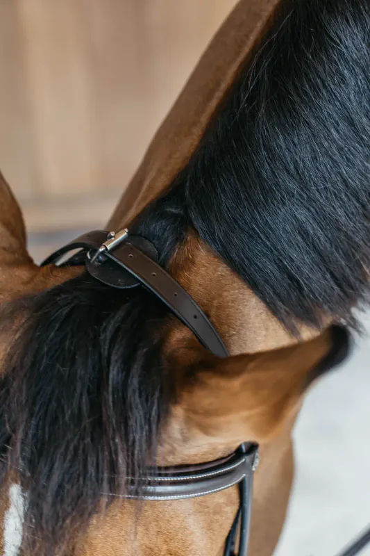 Dy`on Training Bridle - Working By Dy`on