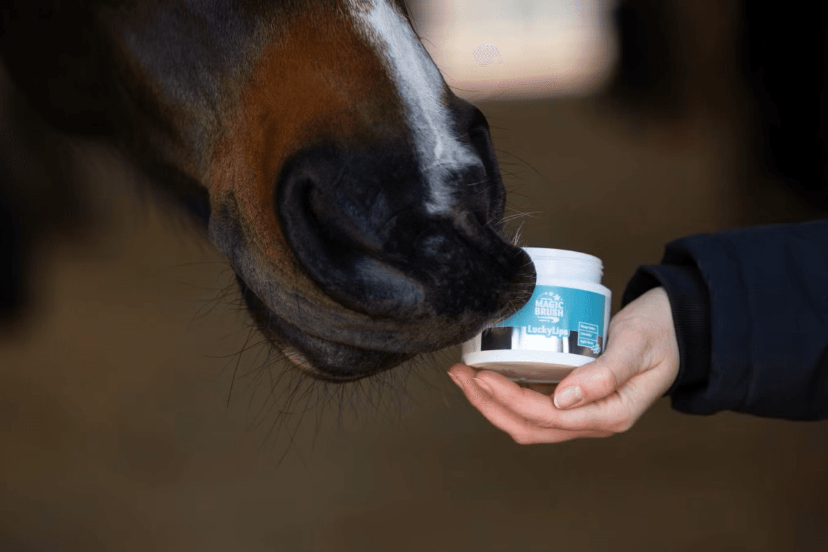MagicBrush Lucky Lips Lip Balm for Horses Apple 150ml