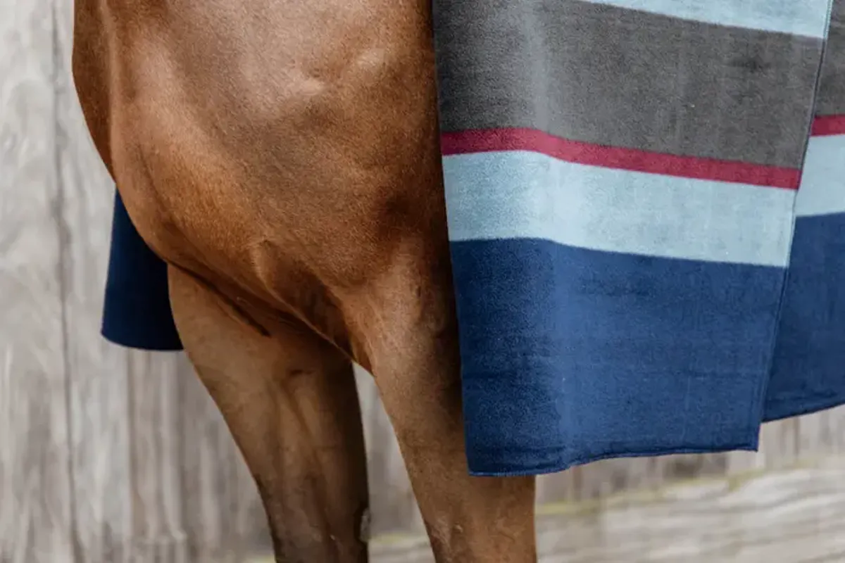 Kentucky Heavy Fleece Rug Square Stripes Navy/Grey