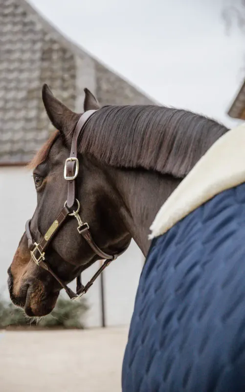 Kentucky Stable Rug Comfort 300 g
