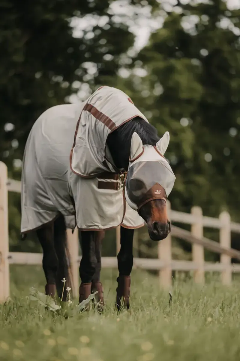 Kentucky Fly Rug Classic
